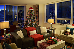 HOLIDAYS IN THE CITY